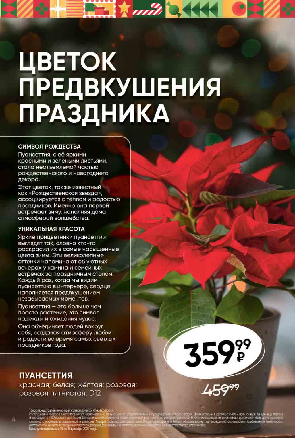 цветок Рождества Пуансеттия за 559.99